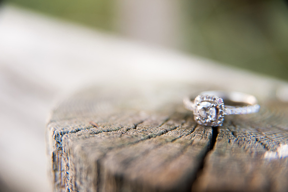 Maidstone Rudy Manor Engagements Wedding feat. Jaclyn and Scott-5